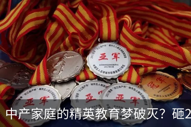 中产家庭的精英教育梦破灭？砸200万读国际学校，归来月薪仅8000，国际学校关停潮疯狂来袭